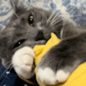 Meet your Posher, Tootie